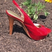 Fundraising Page: Karen McNamara